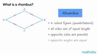 Properties of a Rhombus [upl. by Eliga]