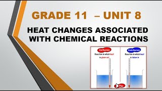 Heat changes associated with chemical reactions  Grade 11 science  Unit 8 [upl. by Ume]