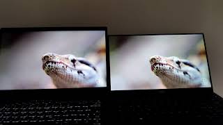 Purism Librem 14 left vs Dell XPS 13 9370 right  IPS LCD panel comparison [upl. by Obola]