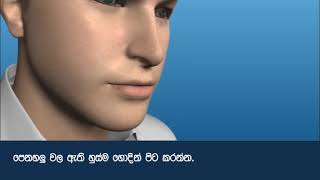 Revolizer Sinhala [upl. by Atat]