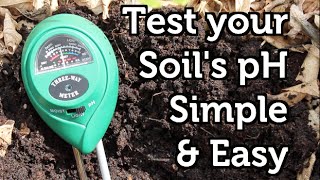 How to Measure your Soil pH Cheap and Easy [upl. by Lilyan]