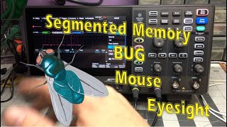 TTE 31  Siglent SDS804X HD  Mouse Eyesight Segmented Memory [upl. by Ely]