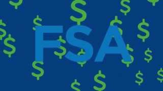 Flexible Spending Accounts FSAs [upl. by Rochkind]