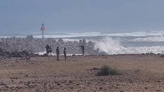 maui big surf kahului harbor March 2021 [upl. by Atinehs]