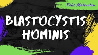 Blastocystis hominis [upl. by Hadias]