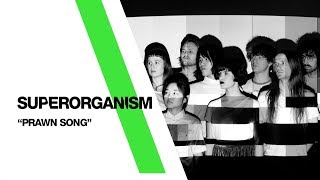 Superorganism  ‘The Prawn Song’ Live From The Independent  San Francisco CA [upl. by Clyve]