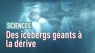 Pourquoi les icebergs se détachent de la banquise [upl. by Ozzie327]