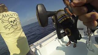 Deep Sea Fishing Destin FL [upl. by Edalb377]