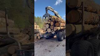 Debarker sawmill wood woodmachinery automobile woodbusiness woodworking woodmill woodwork [upl. by Kuo]