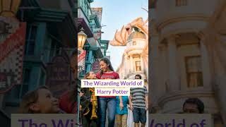 Things to do in Orlando Florida [upl. by Yelwah900]