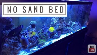 no sand bed in saltwater aquarium bare bottom saltwater tank [upl. by Humble567]