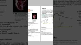 Edexcel IAL Biology Unit 1 Topic 1B Mammalian Transport Systems alevel alevelbiology [upl. by Hosea]