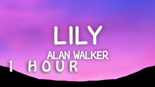 1 HOUR 🕐  Alan Walker  Lily Lyrics ft K391 Emelie Hollow [upl. by Mont849]