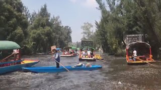 American Tourists Capture Video of Mexicos Deadly Earthquake During Boat Ride [upl. by Mireielle]