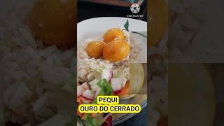 ARROZ COM PEQUI  OURO DO CERRADO  876 [upl. by Nylad]