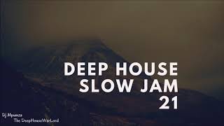 Deep House Slow Jam 21 [upl. by Atnomed]