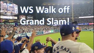 Freddie Freeman Hits 1st Walk off Grand Slam in World Series History [upl. by Nonna]