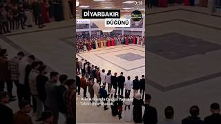 Diyarbakır düğünü diyarbakir amedspor halay kürtçe yanmirimyandiyarbekir travel shorts [upl. by Anett]