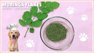 How to Make Malunggay MORINGA Flakes for Dogs [upl. by Magill]