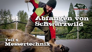 Abfangen von Schwarzwild  Teil 4 Messertechnik [upl. by Xanthus]