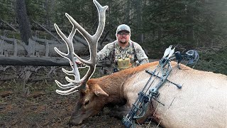 BOW HUNTING ELK  Calling Bulls in Dark Timber [upl. by Erodisi830]