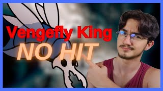 Vengefly King NO HIT  Hollow Knight  BAAL [upl. by Oicnedif]