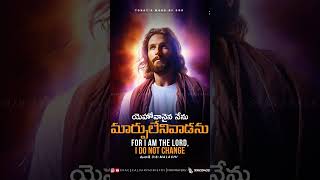 gracecalvaryministry todays word of god  ఈ రోజు దేవుని వాగ్దానం subscribe shorts jesus [upl. by Senzer]