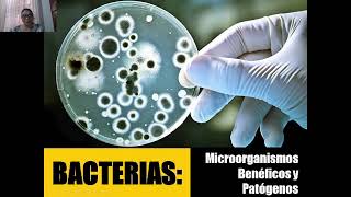 BACTERIAS Microorganismos Benéficos y Patógenos [upl. by Haggi]