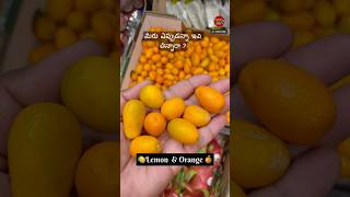 మీరు ఎప్పుడన్నా ఇవి తిన్నారా kumquat canada india ytshorts [upl. by Richie]