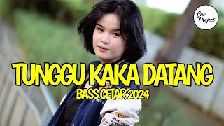 BASS CETAR 2024😅 TUNGGU KAKA DATANG  REMIX ASIK TERBARU [upl. by Hasheem]