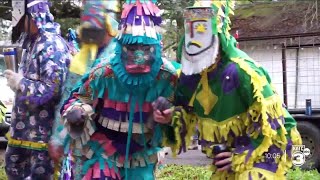 The traditions of the country Mardi Gras Courir de Mardi Gras [upl. by Obla874]