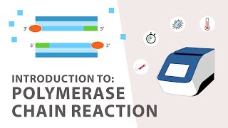 1 PCR Polymerase Chain Reaction Tutorial  An Introduction [upl. by Giovanna162]