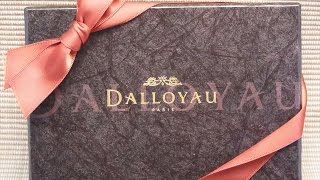 ダロワイヨ DALLOYAU チョコレート [upl. by Sine]