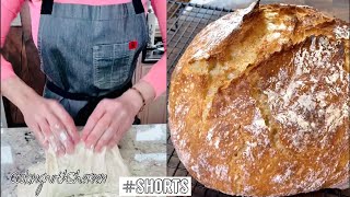 EASY ArtisanStyle Bread from Scratch [upl. by Violetta]