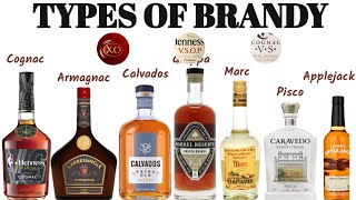 Different Types of Brandy I Cognac I Armagnac I Calvados I Pisco I Grappa I XO Brandy I VSOP Brandy [upl. by Teillo]