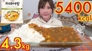 【MUKBANG】 The Queens Curry Korean Simple Cheese amp Coconuts Curry 43Kg About 5400kcalUse CC [upl. by Nauqal]