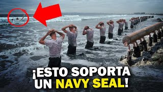 SEAL Team Six El INFERNAL entrenamiento de la Fuerza de Élite de EEUU [upl. by Naihtniroc156]