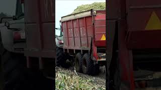 Fendt  Claas  Mais Silage In The Mud  M Verhoef [upl. by Damal]