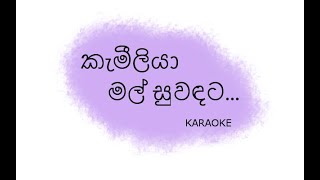 Kameliya Mal Suwandata karaoke  කැමීලියා මල් සුවඳට  Cinderella  Cover Without Voice [upl. by Eneleahs836]