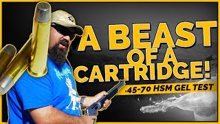 A Beast of a Cartridge 4570 HSM 430gr P RNFP Gel Test [upl. by Toombs441]