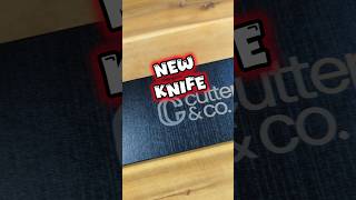 NEW CHEFS KNIFE 🔪 cooking budgetcooking knifereview food chickenroast [upl. by Eanahc]