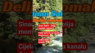 Sinan Sakić  Delija momak MATRICAshorts music cover instrumental matrices karaoke [upl. by Proudman]