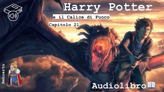 Audiolibro  Harry Potter e il calice di fuoco  Lettura e Commento Cap 21 [upl. by Aicnorev]