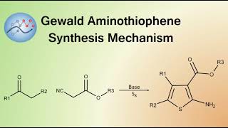 Gewald Aminothiophene Synthesis Mechanism  Organic Chemistry [upl. by Russel]