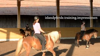 islandpferdetrainingimpressionen [upl. by Berk]