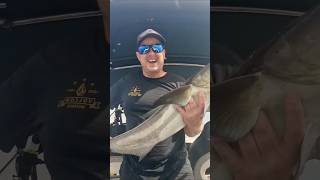 Monster Big Fish fishing Gold Coast fishing [upl. by Akina246]