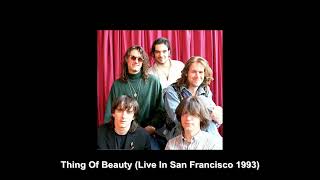 Hothouse Flowers  Thing Of Beauty Live In San Francisco 1993 [upl. by Elagiba185]