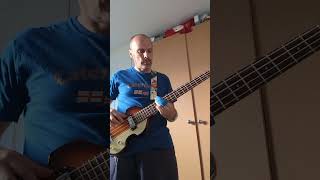 Peaches  The Presidents of the United States of America bass cover [upl. by Dearborn420]