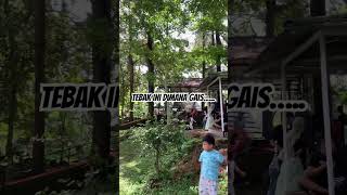 destinasi liburan… wonderland youtubeshorts liburan shortvideo viralshorts [upl. by Belda]