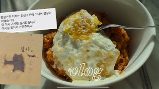 vlog  갑질 당한 썰  집주인이랑 개싸움  하지만 일은 해야지  해야할 일도 넘쳐난다  파워J는 웁니다  어묵탕  김치볶음밥  일상 브이로그 [upl. by Rosmunda]